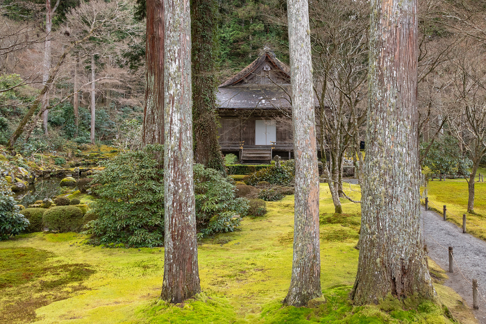 Winter scenery of moss garden at Sanzen-in Temple in Ohara, Kyoto