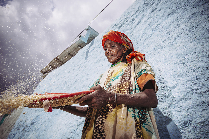 Ethiopia A Woman Winnowing Grain In The Back Streets  Harar, Ethiopia, by Toby Adamson   Design Pics