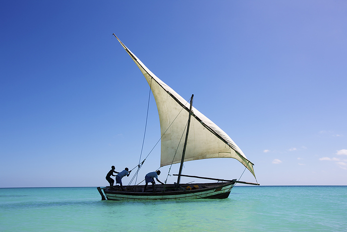 Mozambique Raising The Sail On A Boat On The Indian Ocean  Vamizi Island, Mozambique, by Chris Caldicott   Design Pics