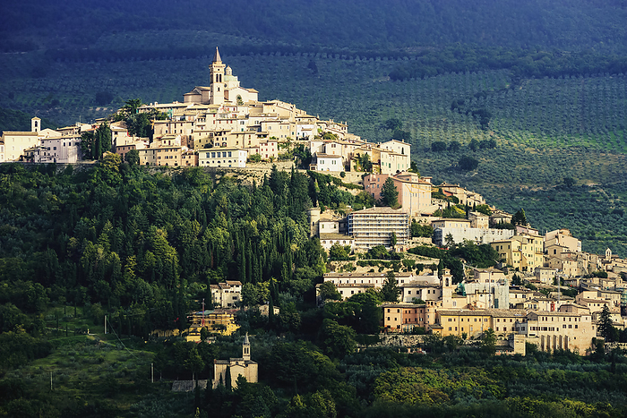 Italy A City On A Hill Surrounded By Vineyards  Trevi, Umbria, Italy, by Yves Marcoux   Design Pics