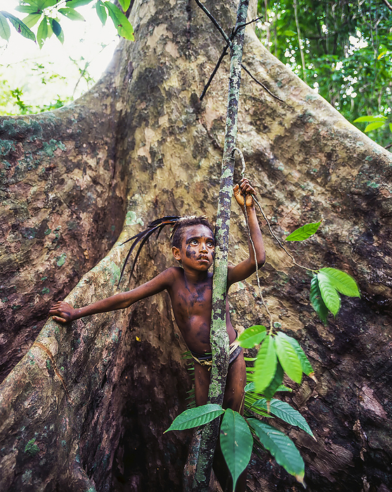 Vanuatu Ni Vanuatu Boy Standing In Banyan Tree  Malekula Island, Vanuatu, by David Kirkland   Design Pics