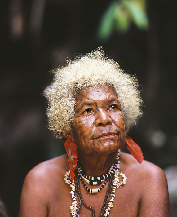Papua New Guinea Elderly Woman With Tattooed Face  Oro Province, Papua New Guinea, by David Kirkland   Design Pics