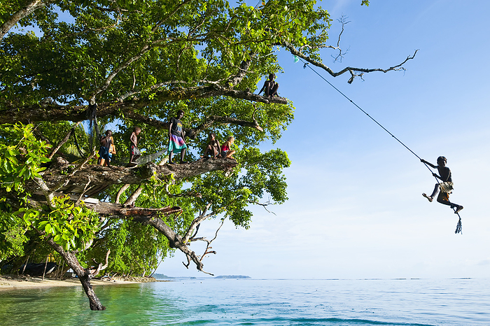 Solomon Island Boy Swinging From A Rope; Gizo, Western Province, Solomon Islands, by David Kirkland / Design Pics