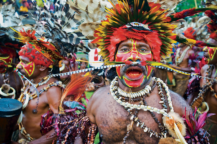 Papua New Guinea Sing Sing Performer At The Mt Hagen Show  Mt. Hagen, Papua New Guinea, by David Kirkland   Design Pics