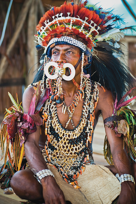 Papua New Guinea Sing Sing Performer At Milne Bay Canoe Festival  Tufi, Milne Bay Province, Papua New Guinea, by David Kirkland   Design Pics