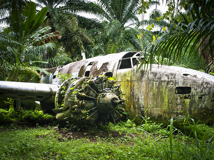 Papua New Guinea Ww11 Aircraft Wreckage, Near Kimbe  West New Britain, Papua New Guinea, by David Kirkland   Design Pics