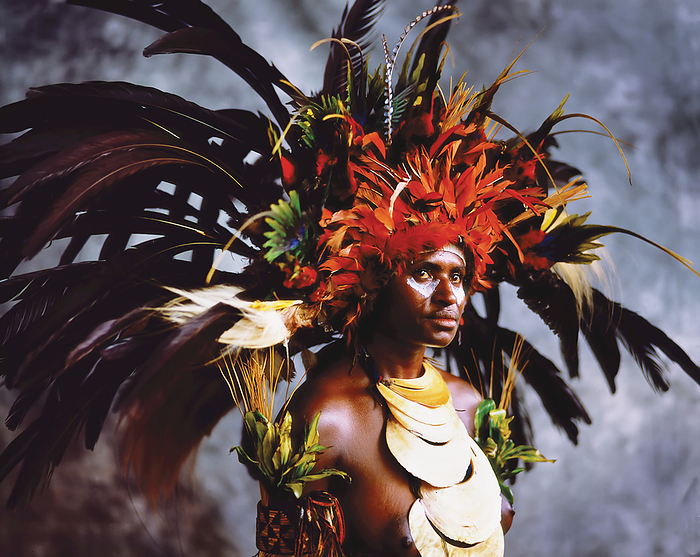 Papua New Guinea A Chimbu Woman In Traditional Headdress, Goroka Show  Goroka, Eastern Highlands, Papua New Guinea, by David Kirkland   Design Pics