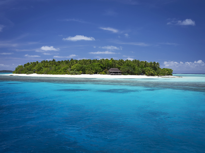 Mounu Island; Tonga, by David Kirkland / Design Pics