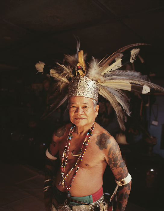 Village Chief Standing In A Long House In Traditional Dress; Sarawak, by David Kirkland / Design Pics