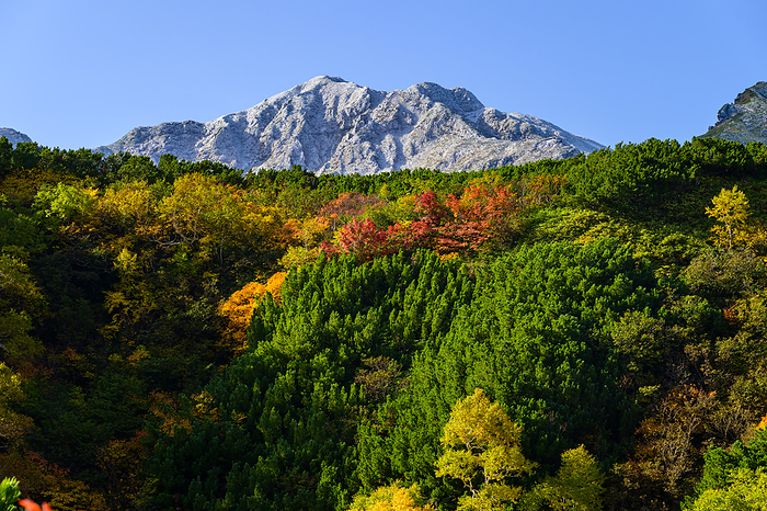 Furano-dake from Tokachidake Onsen in autumn leaves, Hokkaido, Japan