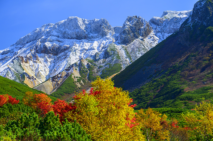 Mt. Kamihorokametc from Tokachidake Onsen in autumn leaves, Hokkaido, Japan