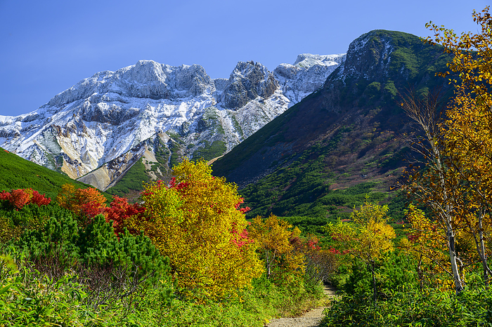 Mt. Kamihorokametc from Tokachidake Onsen in autumn leaves, Hokkaido, Japan