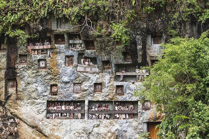 Indonesia Stone Graves Carved Out Of A Rocky Cliff With Wood Carved Effigies Of The Deceased, Called Tau Tau, Lemo, Toraja Land, South Sulawesi, Indonesia, by Peter Langer   Design Pics