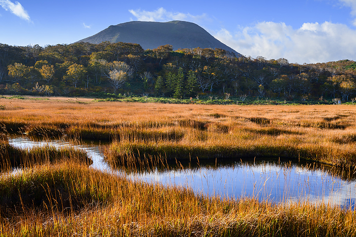 Shinsennuma Marsh and Chisenupuri Niseko Hokkaido in Autumn