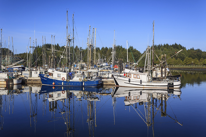 Canada Commercial Fishing Boats In Ucluelet Harbour  Vancouver Island, British Columbia, Canada, by Ken Gillespie   Design Pics
