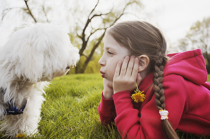 Portrait Of Young Girl And Puppy At A Park; Toronto, Ontario, Canada, by Vast Photography / Design Pics