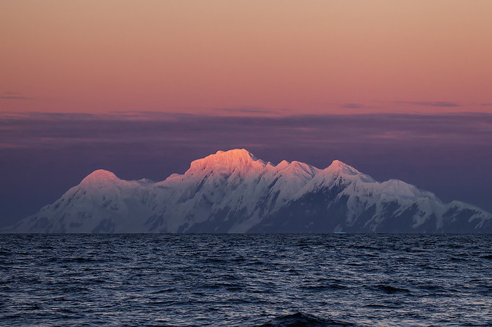 Antarctica Smith Island With A Pink Sky And Glowing Mountain Peaks, Antarctic Peninsula  Antarctica, by Matthias Breiter   Design Pics
