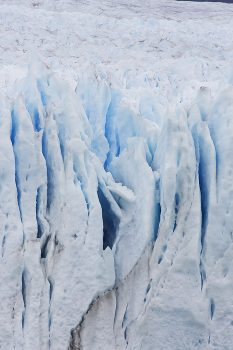 Antarctica Glacier Terminus In Paradise Harbor, Antarctic Peninsula  Antarctica, by Matthias Breiter   Design Pics