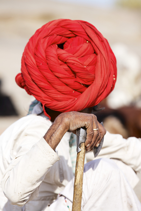 Nomadic Rabari Shepherd Wearing Coiled Turban, And Traditional Dress, Rajasthan, by Chris Caldicott / Design Pics