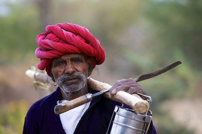 Nomadic Rabari Shepherd Wearing Coiled Turban And Traditional Dress, Rajasthan, by Chris Caldicott / Design Pics