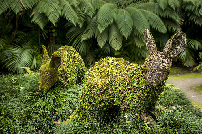 Portugal Sculptures Covered In Foliage, Terra Nostra Botanical Park  Furnas, Sao Miguel, Azores, Portugal, by Dosfotos   Design Pics