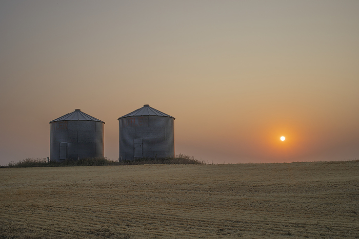 Canada Two grain bins on the vast Alberta prairie at sunset  Alberta, Canada, by Lorna Rande   Design Pics