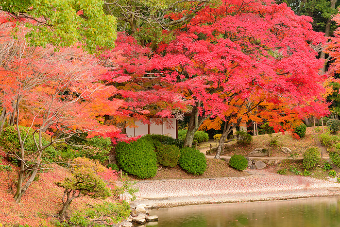 Shukkeien Garden in Autumn, Hiroshima City