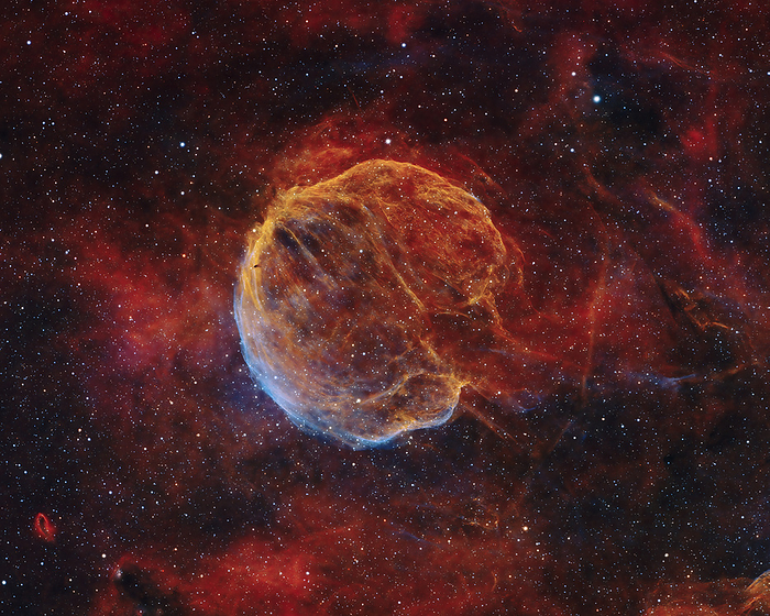 Medulla Nebula, composite image Composite image of the Medulla Nebula, also known as CTB 1. This celestial object was formed from the remnants of a supernova. It was named after its brain like shape and is located in the constellation of Cassiopeia. The supernova that gave rise to the Medulla Nebula occurred approximately 10,000 years ago, leaving behind a gas shell that is expanding into a patchy region of gas and dust. The nebula also contains fainter filaments that are likely the remains of even older supernovas. This deep sky object is extremely faint. Over 130 hours of exposure time, two different telescopes and special filters that isolate light from sulphur  yellow , hydrogen  red , and oxygen  blue , were used to obtain this image., by RUSSELL CROMAN SCIENCE PHOTO LIBRARY