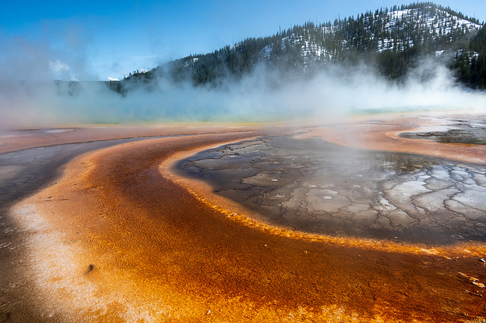 Midway Geyser Basin, Yellowstone National Park, USA Midway Geyser Basin in Yellowstone National Park, Wyoming, USA. The hot spring contains a rainbow of colours from different species of thermophile  heat loving  bacteria living within., by DR P. MARAZZI SCIENCE PHOTO LIBRARY