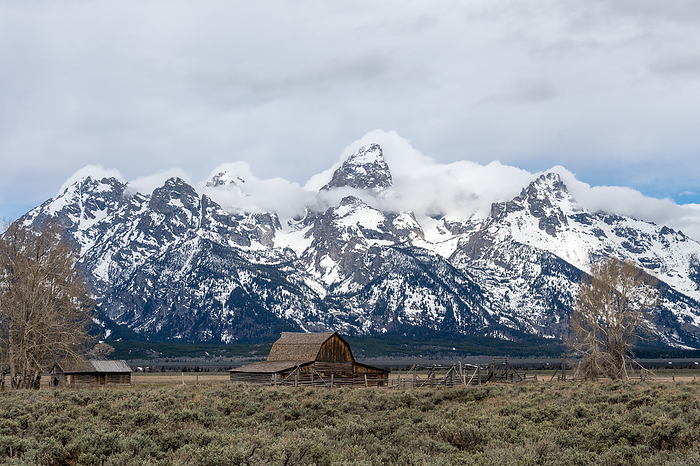 Barn in rural landscape, Wyoming, USA Barn in a rural mountainous landscape. Photographed in Yellowstone National Park, Wyoming, USA., by DR P. MARAZZI SCIENCE PHOTO LIBRARY