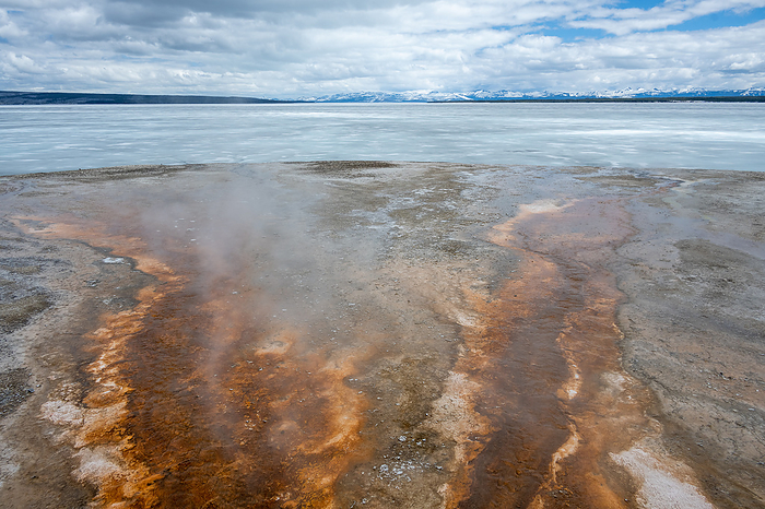 Yellowstone Lake, Wyoming, USA Edge of Yellowstone Lake in Yellowstone National Park, Wyoming, USA. Microbial mats  orange  are seen growing on the rock., by DR P. MARAZZI SCIENCE PHOTO LIBRARY