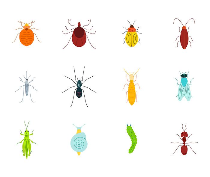 Pests, conceptual illustration Pests, conceptual illustration., by ART4STOCK SCIENCE PHOTO LIBRARY