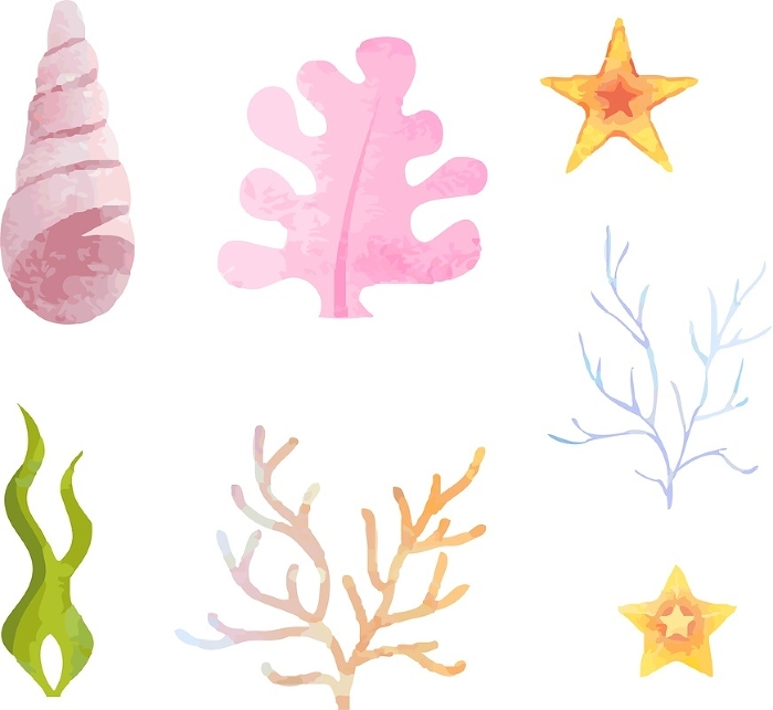 Sea life Shellfish Seaweed Icon Decoration Asari Summer Watercolor Illustration Set