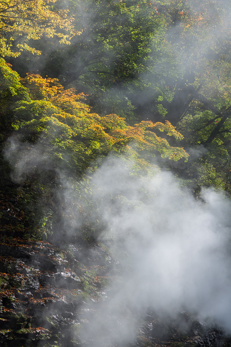 Steaming hot spring in Koankyo, Yuzawa City, Akita Prefecture, Japan