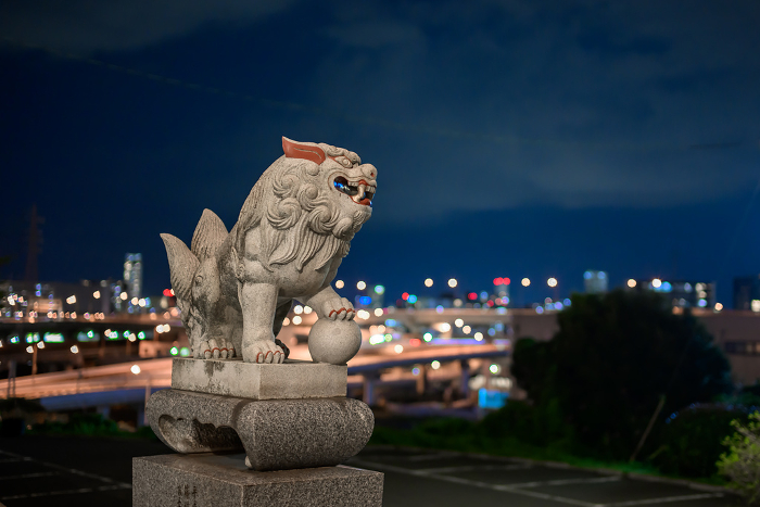 Komainu (guardian dogs) of Shinozaki Shrine watch over the city of Kokura at night
