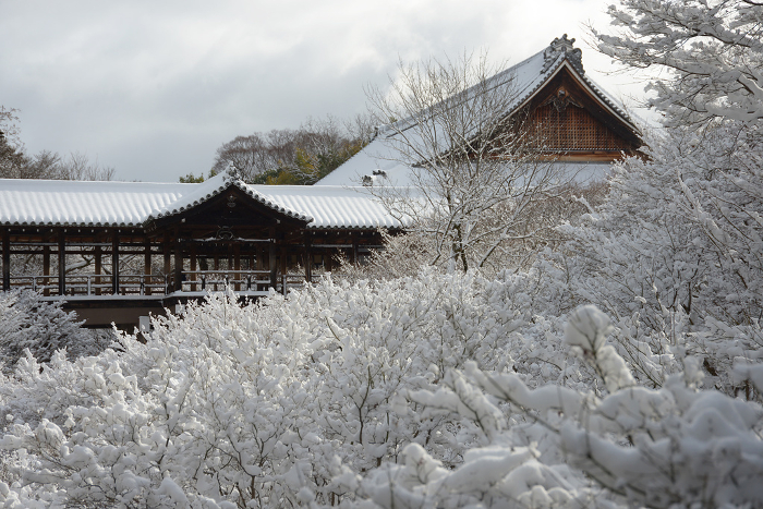 Snowy Tofukuji Temple Tsutenkyo Bridge and Hojo seen from Gagumo Bridge Higashiyama-ku, Kyoto