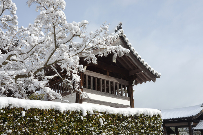 Snowy Tofukuji Temple, Tonbokuro, Higashiyama-ku, Kyoto