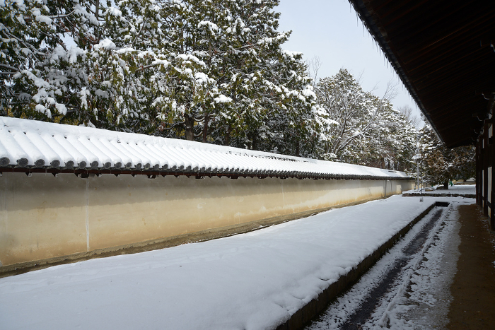 Mud wall behind Tofukuji Temple's Toji-ura in snow Higashiyama-ku, Kyoto