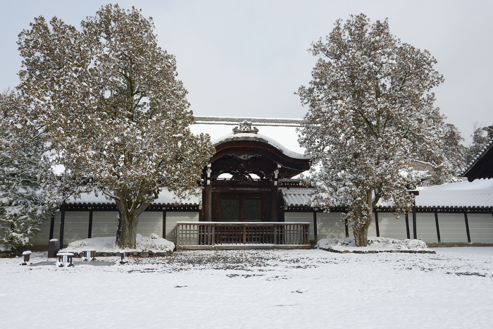 The Imperial Gate of the Hojo of Tofukuji Temple in the snow Higashiyama-ku, Kyoto