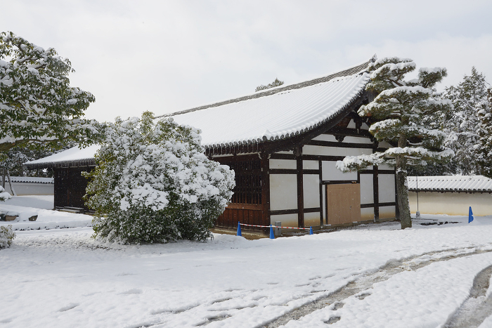 Tofukuji Temple Toji in snow Higashiyama-ku, Kyoto