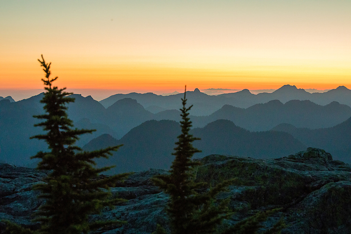 Subalpine fir trees with mountain layers on the horizon, by Cavan Images / Christopher Kimmel / Alpine Edge Photography