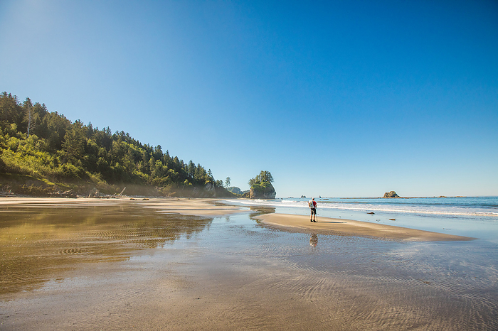 Distant view of backpacker on remote beach, Olympic National Park, by Cavan Images / Christopher Kimmel / Alpine Edge Photography