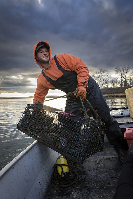 Commercial fisherman hauling crab trap in fishing boat, by Cavan Images / Julia Cumes