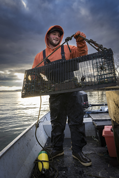 Commercial fisherman hauling crab trap in fishing boat, by Cavan Images / Julia Cumes