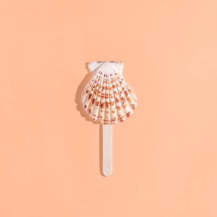 sea shell popsicle on pink . cover. Pantone peach fuzz., by Cavan Images / Galigrafiya