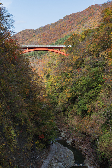 Kawarayu Bridge and Autumn colored trees at Koan Gorge in Yuzawa, Akita, Japan