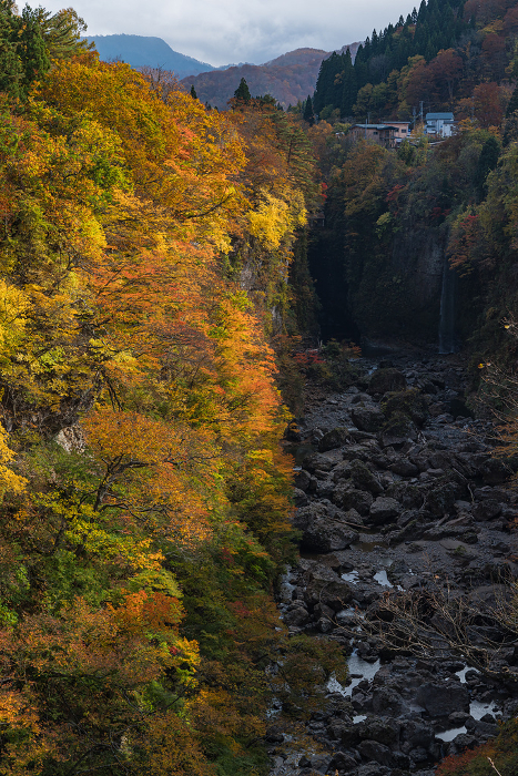Autumn leaves and Minase River at Koankyo in Yuzawa, Akita, Japan