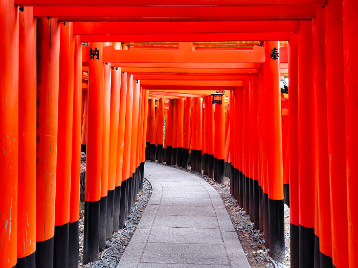 Senbon-torii (Thousand torii gates) at Fushimi Inari, Kyoto
