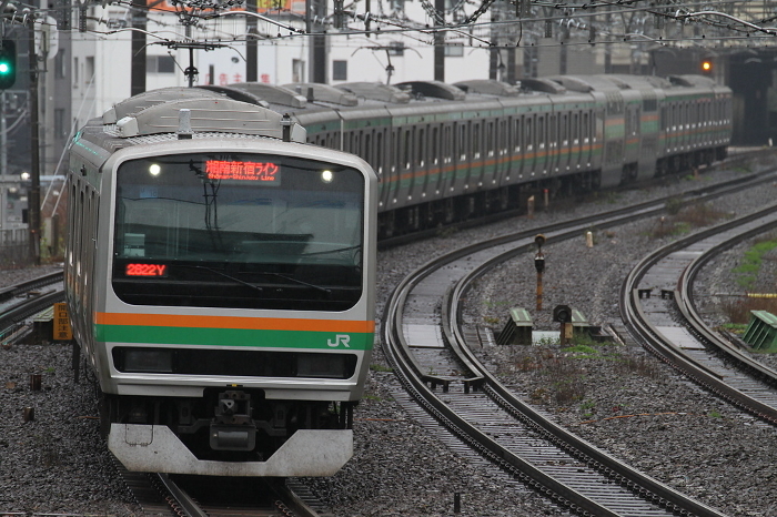Shonan Shinjuku Line, E231 Series