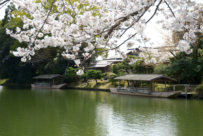 Houseboat at Daikakuji Temple Osawa Pond in spring Saga, Ukyo-ku, Kyoto